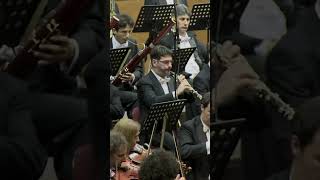 Brahms  Symphony No4  Andante moderato  Musicorum Tempora [upl. by Isidoro119]