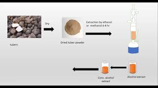 Isolation and identification Diosgenin from Dioscorea [upl. by Gipson]