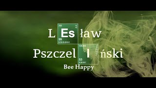 Konfiguracja elektronowa na podpowłokach cz1  Lekcja 3  Bee Happy [upl. by Eedissac359]