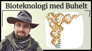 Bioteknologi  DNA og biologiens centrale dogme [upl. by Casabonne]