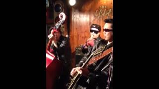 GIGOLO 13 Japanese psychobilly rockabilly ジゴロ13 サイコビリー [upl. by Nnayllehs]