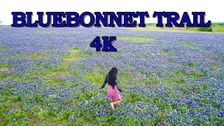 Bluebonnet TrailsEnnis Texas [upl. by Darsey616]