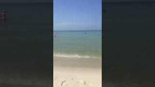 Day 3 at Panama City Beach Florida pcb panamacitybeachflorida panamacitybeach panamacity [upl. by Gunilla]