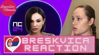 REACTING TO BRESKVICA  GNEZDO ORLOVO PZE 2024 [upl. by Elleivap]