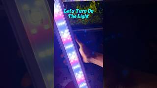 Best Aquarium Light For 2 Feet Tank [upl. by Sungam377]