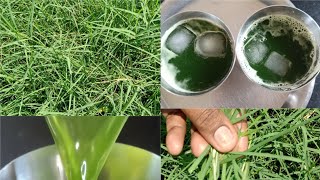 Bermuda grass juice  அருகம்புல் ஜூஸ்  Healthy juice recipe  Arugampul juice nammavattarasamayal [upl. by Yevoc]