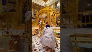 Gurudwara Sis Ganj Sahib Ji Daily Amrit Vela Hukamnama Sahib Ji 6112024 today sisganjsahib live [upl. by Eidnam]