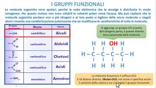 BIOCHIMICA  I gruppi Funzionali [upl. by Franciscka]