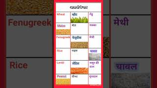 आनाजों के नाम हिंदी अंग्रेजी में।English Hindi word meaning। Hindi vocabulary word with meaning । [upl. by Anaiv]