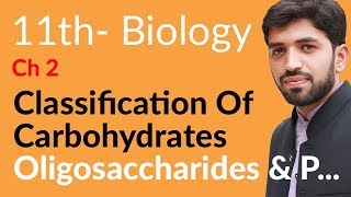 FSc Biology Book 1 Ch 2  Oligosaccharides amp Polysaccharides  Inter part 1 Biology [upl. by Adnirol196]