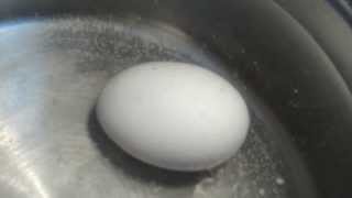 How to Pasteurize EGGS [upl. by Lavotsirc]