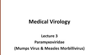 Virology lec 3 ParamyxoviridaeMumps Virus amp Measles Morbillivirus [upl. by Ditzel]