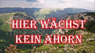 Hier wächst kein Ahorn Dornen und Steine  FahrtenliedGerman Hiking Song  English Translation [upl. by Llezom]