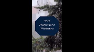 How to Prepare for a Windstorm [upl. by Meehyr]