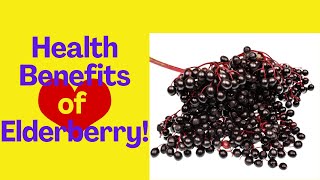 6 Health Benefits of Elderberry [upl. by Eetsirk]