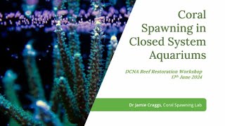 Coral Spawning in Closed System Aquariums [upl. by Benetta]