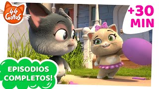 44 Gatos  Latinoamérica  ¡30 MINUTOS de episodios completos [upl. by Namielus]