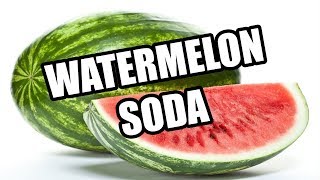 Make your own Watermelon Soda with the Kegman [upl. by Cadmarr]