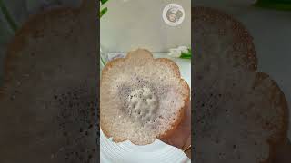 അപ്പം  പാലപ്പം  വെള്ളയപ്പം  Appam  Palappam  Vellayappam  Kerala easy recipe shorts asmr [upl. by Swope14]