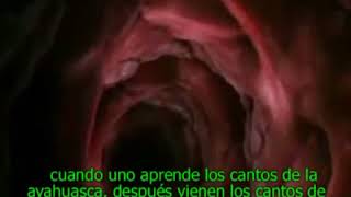 8 ICAROS KESTENBETSA CANTO SHIPIBO YouTube 360p [upl. by Netniuq]