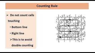 Total Red Blood Cell Count total RBC count by using Hemocytometer  Neubaur chamber [upl. by Iey622]