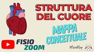 Struttura del cuore FisioMap [upl. by Oakley]