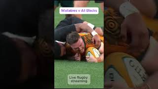 Wallabies Rugby best try to score for All Blacks allblacks wallabies shorts [upl. by Ynotna]