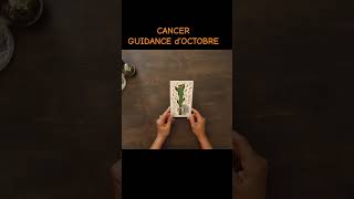 Pauline☎06 33 30 11 92 astrologie tarologie guidance [upl. by Girard]