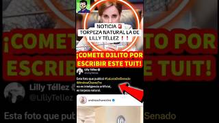 Comete Delito Lilly Téllez‼️JesusDominguez EstadisticaPolitica NotitopsMx BenditasRedesSociales [upl. by Christalle311]