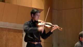 Wieniawski Violin Concerto No 1 in F Minor  Complete [upl. by Hickie]