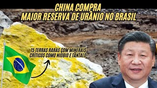 China acaba de quotinvadirquot a AMAZÔNIA sem disparar um único tiro VEJA COMO [upl. by Pierre]