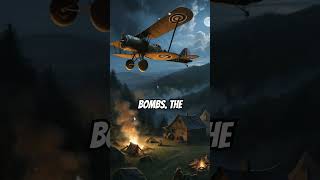 The Night Witches Stealth Bombers in the Dark shorts history ww2 trending shortsviral [upl. by Etezzil]