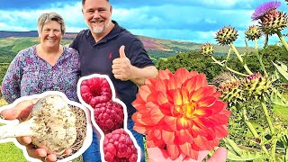 4 Acre UK Food Garden TOUR  TIPS A SelfSufficient INSPIRATION [upl. by Vasti]