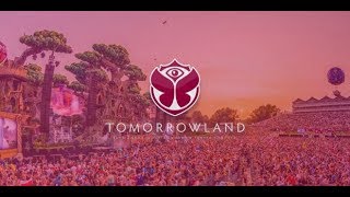 4 Strings  Take Me AwayInto The Night Dave Neven Remix Markus Schulz LIVE  Tomorrowland 2017 [upl. by Winona]