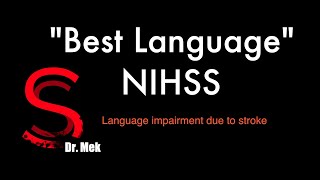 Best Language 9th component of NIHSS E31 [upl. by Geri885]