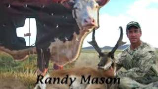 Antelope and Buffalo hunt with a Cow blind [upl. by Eanrahc]