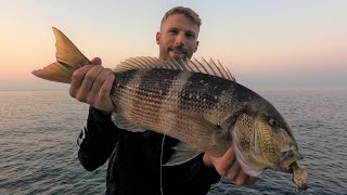 SHORE JIGGING amp DEEP SPINNING  A caccia di dentici  Hunting for snappers [upl. by Murdocca]