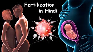 Fertilization  Pregnancy  Baby Delivery [upl. by Airotnes363]