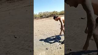 crab fishing shark beach fish seacrabs [upl. by Hayikaz]