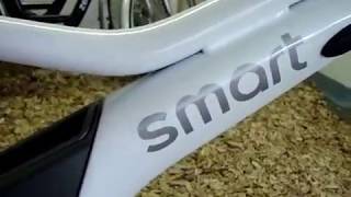 Smart E Bike Bionx [upl. by Innavoij]