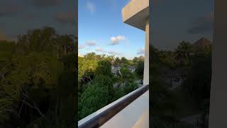 Cancun Mexico TRS Yucatan Hotel 2023 [upl. by Zinck538]