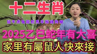 12生肖！ 2025年有大喜事！千萬不要錯過來接！接住好運！一整年都好運連連 財源廣進風水 生肖 運勢 佛教 [upl. by Giacobo57]