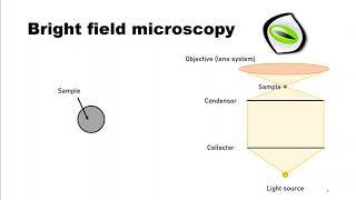 Bright field dark field amp phase contrast [upl. by Yahsan]