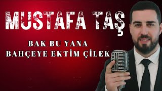 Mustafa Taş  Bak Bu Yana  Bahçeye Ektim Çilek [upl. by Ahsiat]