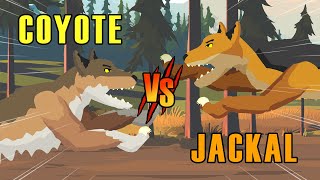 Coyote vs Jackal  Woodland vs Savannah Animals S1  Animal Animation [upl. by Corene]