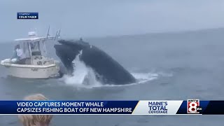 Maine boys help rescue people from water after whale hits boat [upl. by Schwarz291]