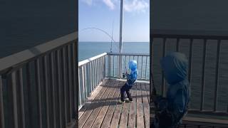 Good Job Lex Nightcliff Jetty Fishing [upl. by Trebbor]