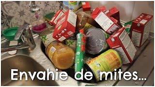 Envahie de mites alimentaires  VLOG [upl. by Suivatnod]