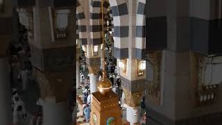 Islamic Video islamicshorts islamicvideo islamic islam shorts shortsfeed shortsvideo foryou [upl. by Tavis]