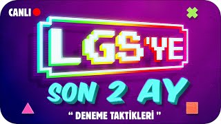 LGS Deneme Netlerini TAVAN YAPACAK TAKTİKLER❗ LGSYE SON 2 AY 🎯 [upl. by Galatea181]